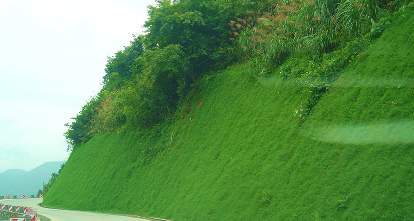 广东·乐昌峡水利枢纽发电厂及引水工程