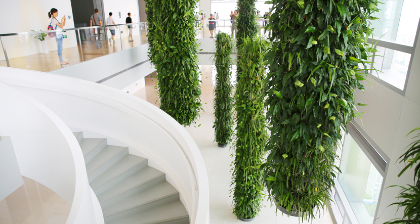 深圳·证劵交易所营运中心园林景观