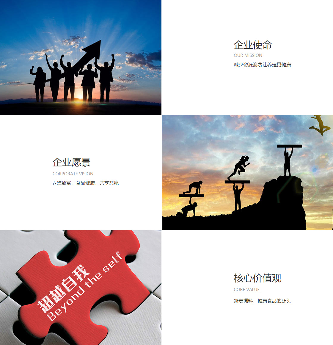 香港六宝典资料